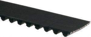 TX244 Roadmax Engine Timing Belt
