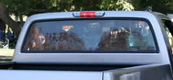 Rear Window Glass Brothers Trucks RGR87LGCLEAR - Clear