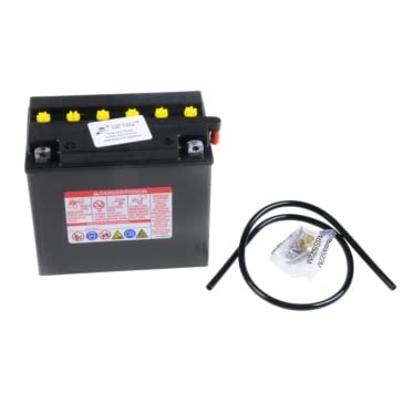 Yumicron Battery Yuasa YUAM2216YTWN - YB16-B - 12V