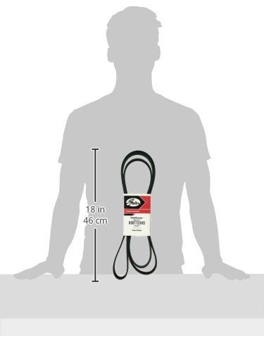K081153HD Gates-Belt