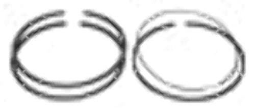 Perfect Circle Set Clevite S41548