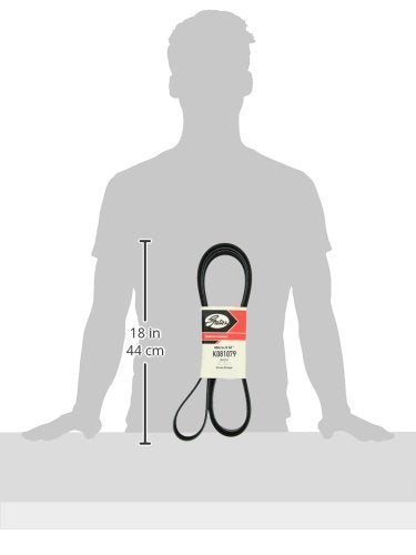 Micro-V Gates K081079 Serpentine Drive Belt