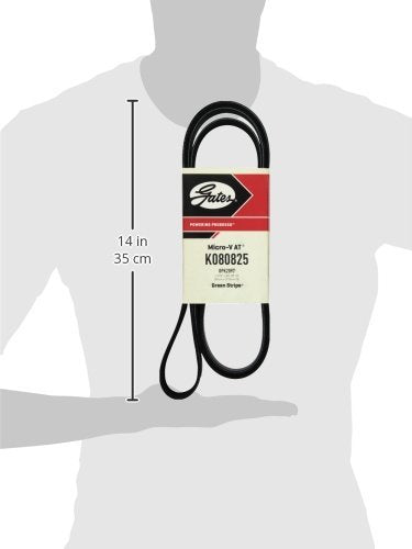 Micro-V Serpentine Drive Belt Gates K080825