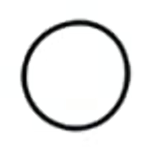 OR-4 Watts O-Ring