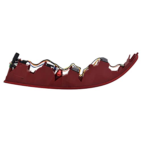 Tail TYC Lamp