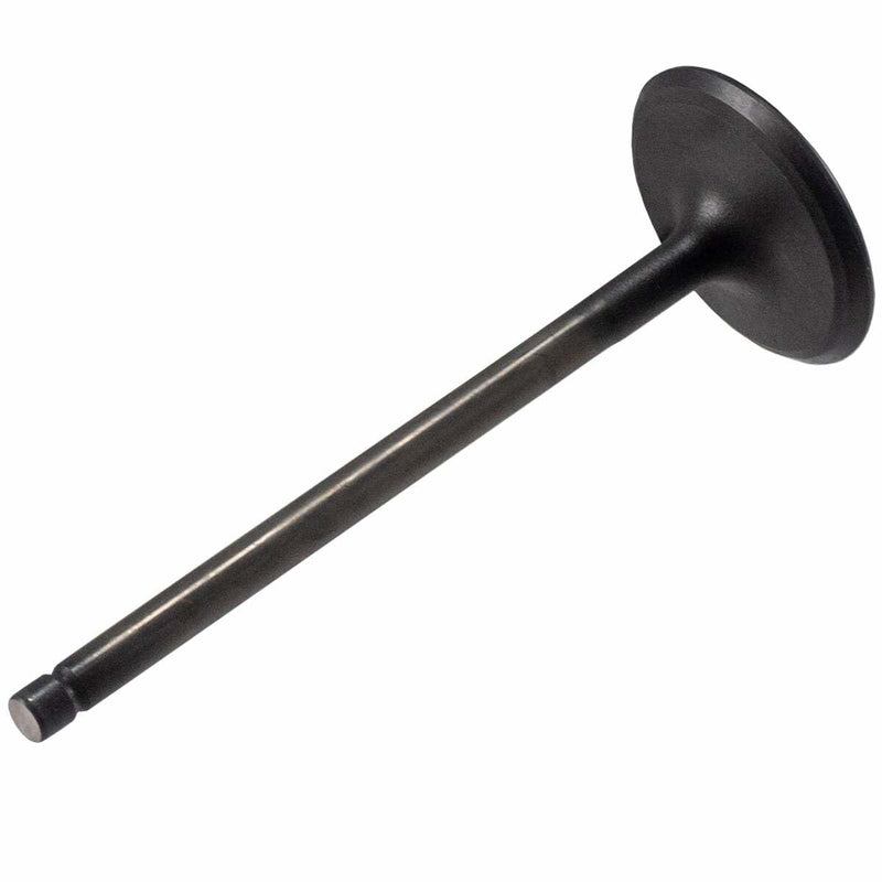 V5569 Melling Stock Replacement Engine Intake Valve