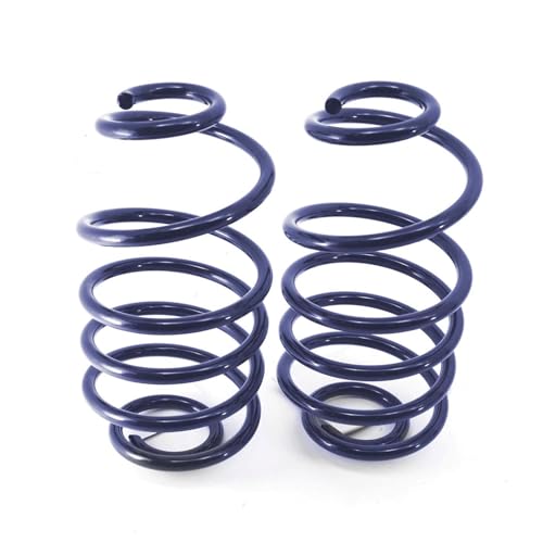 Dual-Rate Rear Coil Springs, 2 Drop | 1968-1972 GM A-Body