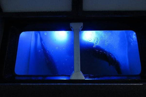 T-H Marine Quad Beam LEDBW-402-R-DP Livewell LED Light Red