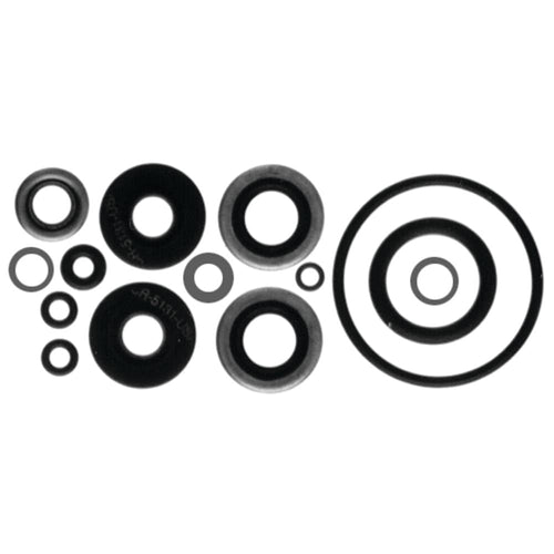 18-2656 Sierra International Marine Lower Unit Seal Kit for Johnson/Evinrude Outboard Motor, white