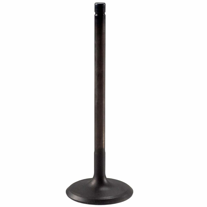 V5569 Melling Stock Replacement Engine Intake Valve