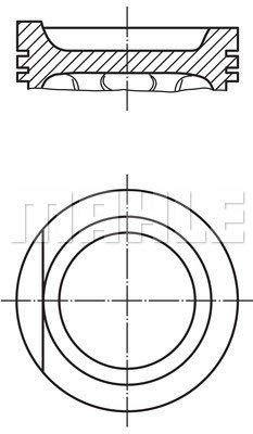 0299002 Mahle Piston