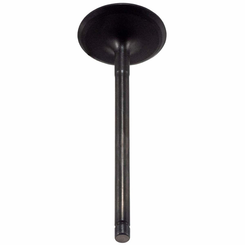 V5569 Melling Stock Replacement Engine Intake Valve