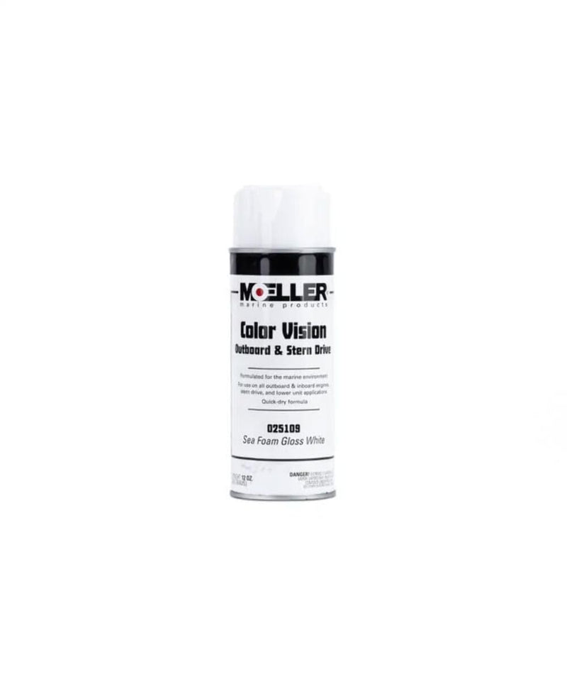Color Vision Sea Foam Paint Color: Gloss White