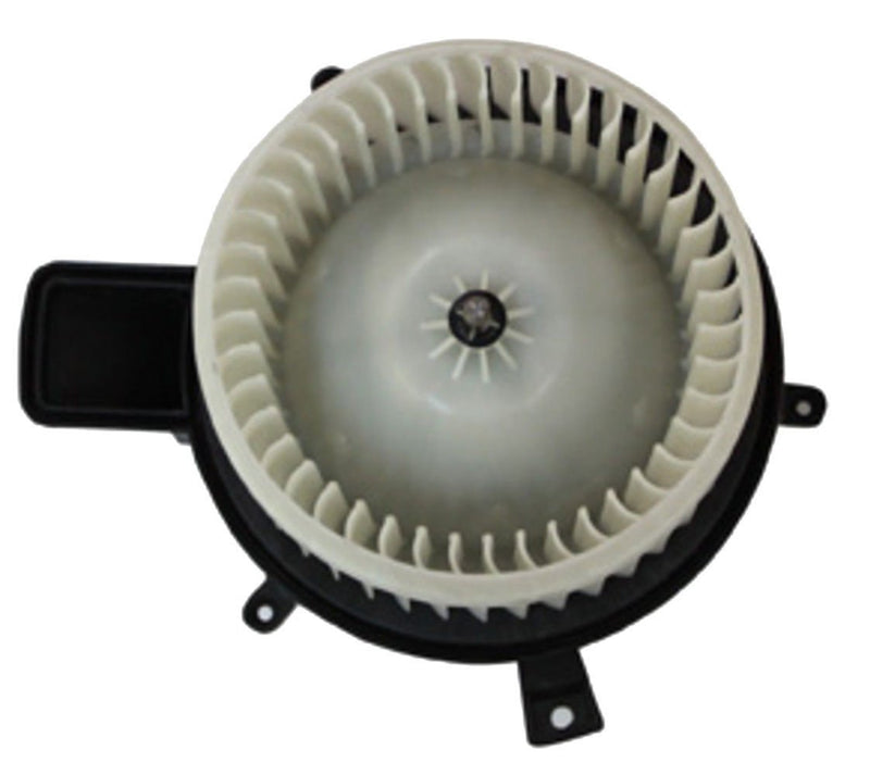 Replacement TYC 700216 Blower Assembly