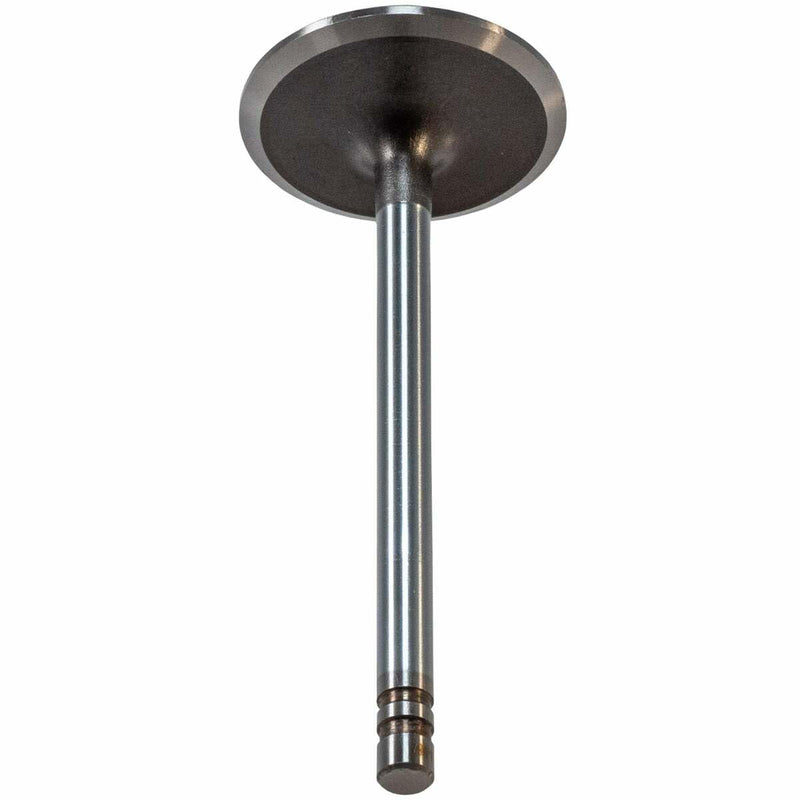 V1098 Melling Intake Valve