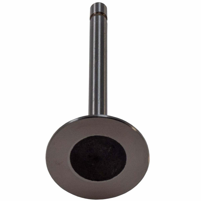V1001 Melling Intake Valve