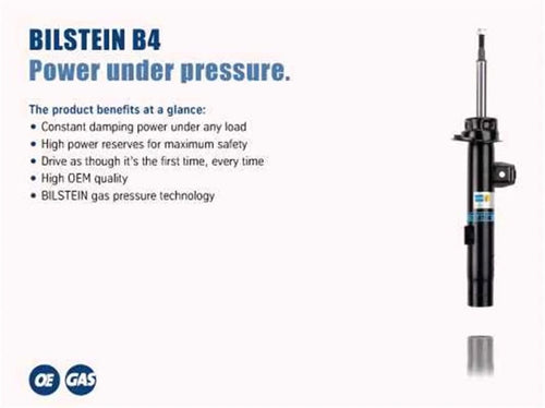 22-139931 Bilstein Twintube Strut Assembly
