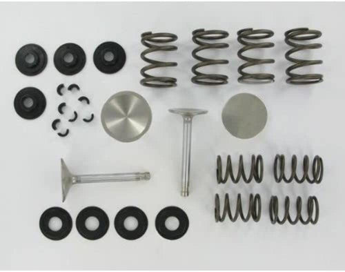 11638-1 Manley Engine Valve
