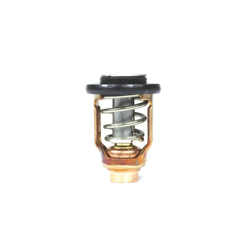 18-3637 Sierra International Thermostat