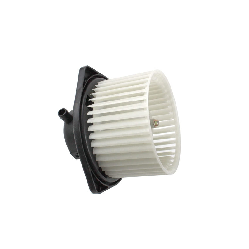 Replacement TYC 700239 Blower Assembly