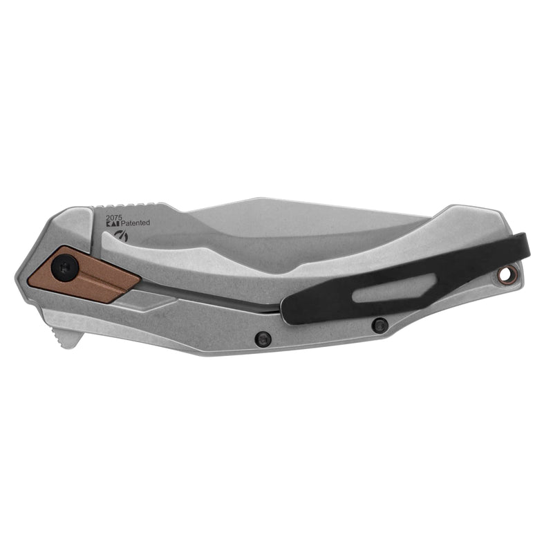 Payout Kershaw Folding Pocket Knife, 3.5 Inch Blade with SpeedSafe Assisted Opening, Frame Lock (2075), Steel
