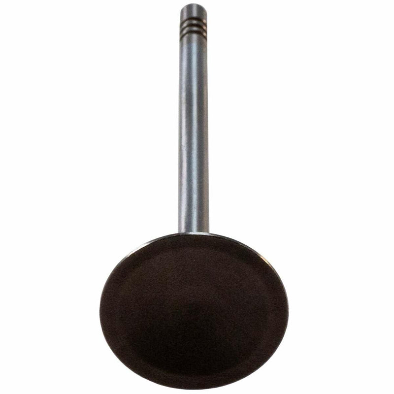 V1920 Melling Intake Valve