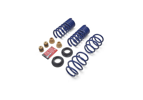 2024 Ford Racing Mustang 2.3L Track Lowering Spring Kit