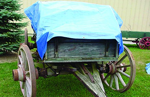 Economy Poly Tarp Erickson 57000