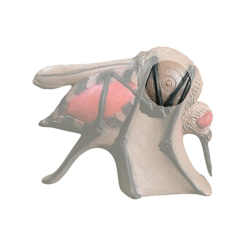 Rinehart Insert Mosquito, Archery, Foam, Archery Targets, Archery Insert, Multicolor