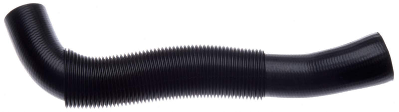 Lower Roadmax C1971 Radiator Hose