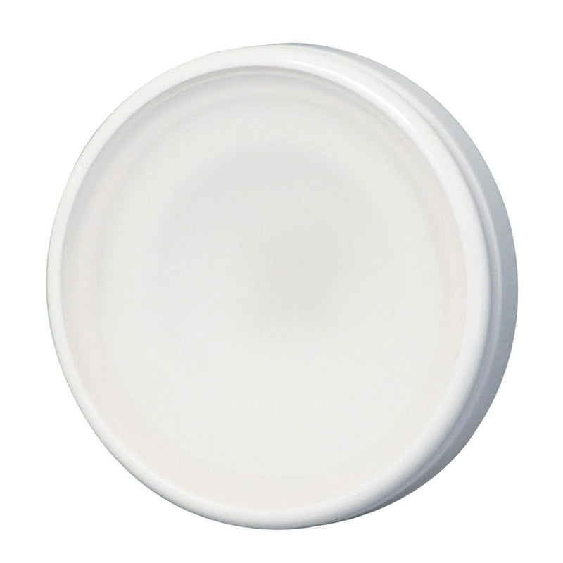 Orbit Lumitec 112529 Down Light Flush Mount, Warm White
