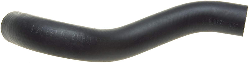 C2524 Roadmax Lower Radiator Hose