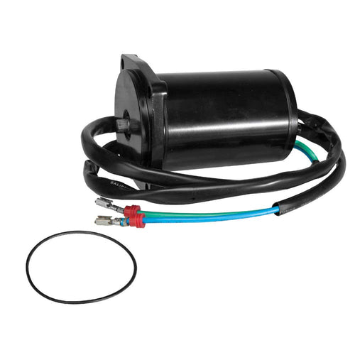 18-6815 Sierra International Evinrude/Johnson Trim Motor