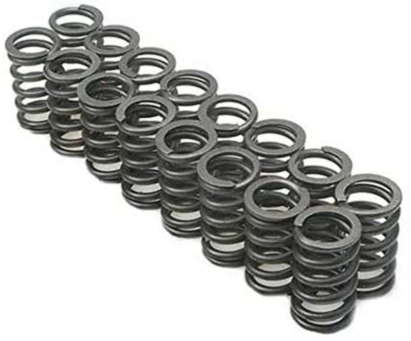 22140-16 Manley Valve Spring, 16 Piece