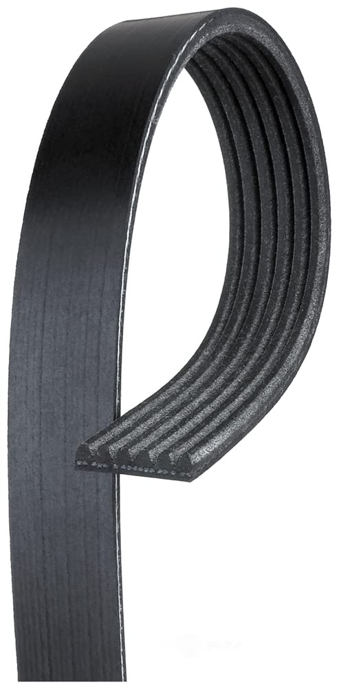 Automotive Gates V-Ribbed K060935 Belt (Standard)