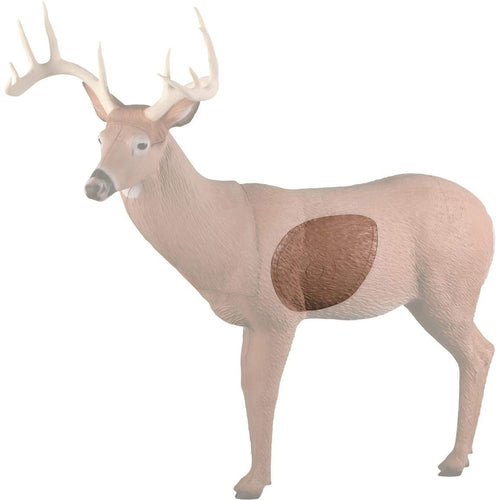 Big Ten Buck Insert Rinehart IBO Pattern