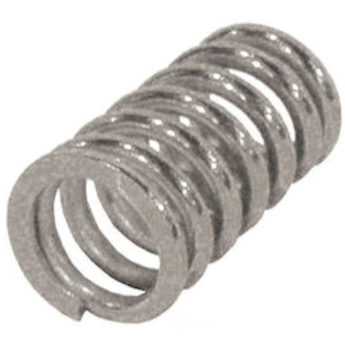 Exhaust Spring Bosal 251-001