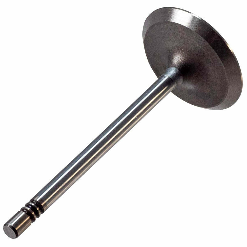 V1918 Melling Intake Valve
