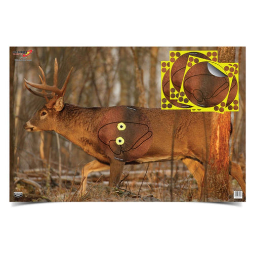 Birchwood Casey 25"x35" Eze-Scorer, Brilliant White, Simple and Effective Targets (Varied)