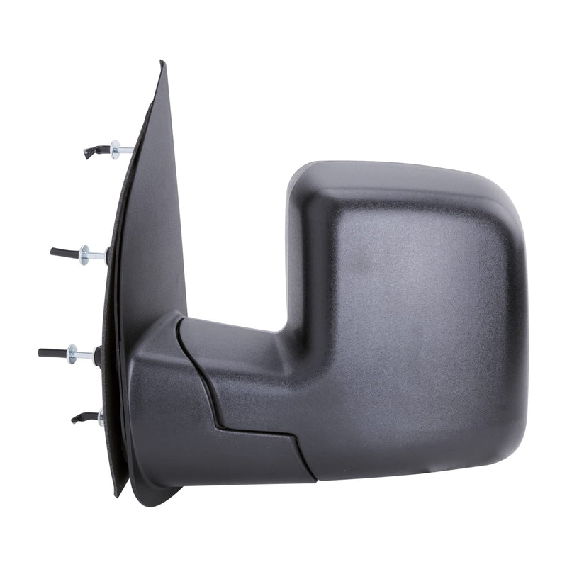 3210132 TYC Door Mirror