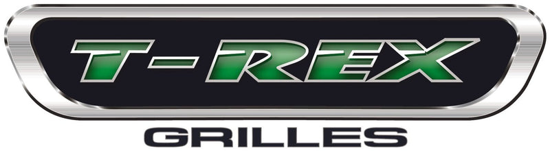 Billet Grille Compatible with Ford, Polished, 1 Pc, Insert - PN #20560