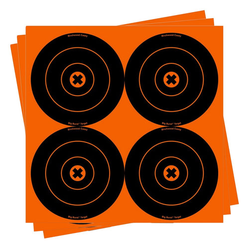 Birchwood Casey 6-Inch Big Burst Bull's-Eye, 12 - 6-Inch Revealing Targets