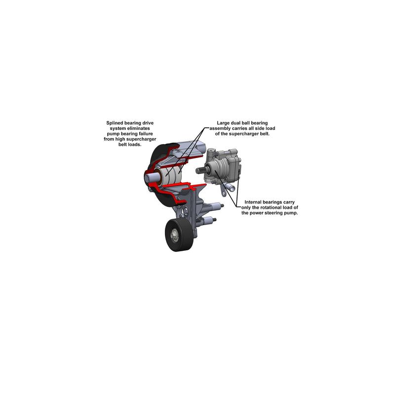 Power Steering Holley 20-233 Add-on System for LT5