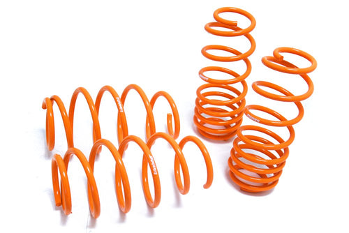 Megan Racing Automotive MR-LS-TY06 Coilover Lowering Spring