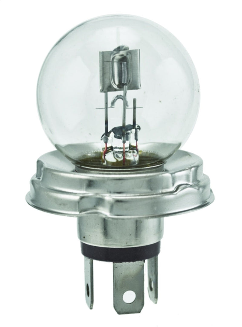 Miniature HELLA Standard Bulb, 24V, 55/50W, Multi