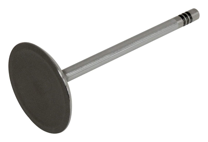 Intake Crown Valve