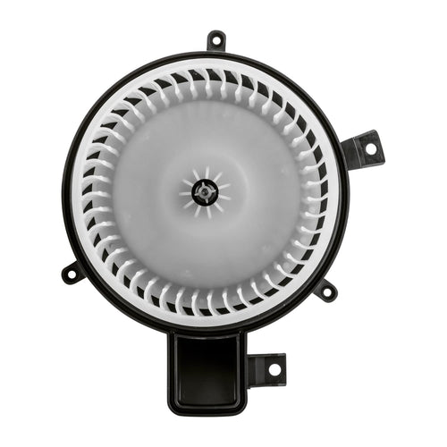 Replacement TYC 700252 Blower Assembly