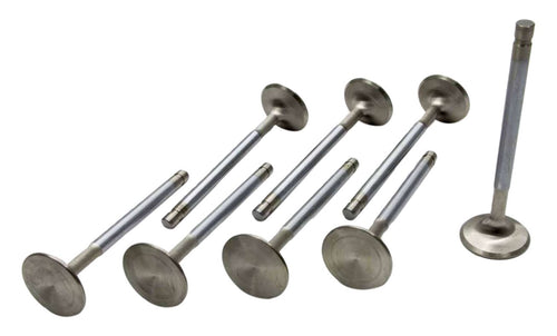 2.020" Manley Intake Valve (8mm AFR Heads SBC R/F)