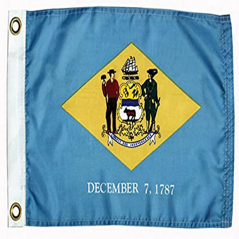 Delaware TAYLOR MADE PRODUCTS Flag 93095