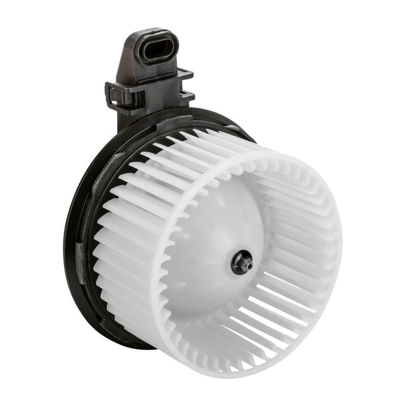 Replacement TYC 700225 Blower Assembly
